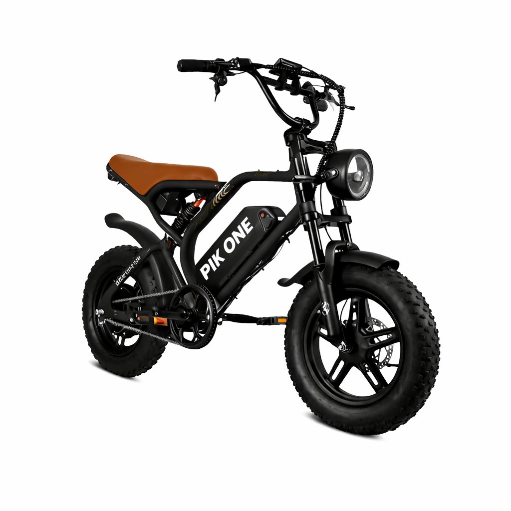 Bici Elettrica Vectrip R6 Pro Fat Bike Sportiva